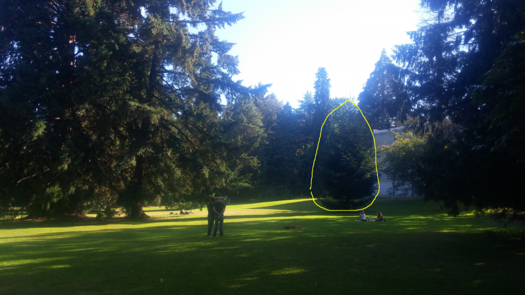 20160904_southeast_view_edited